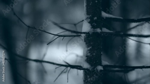 Russian winter, snow and cold