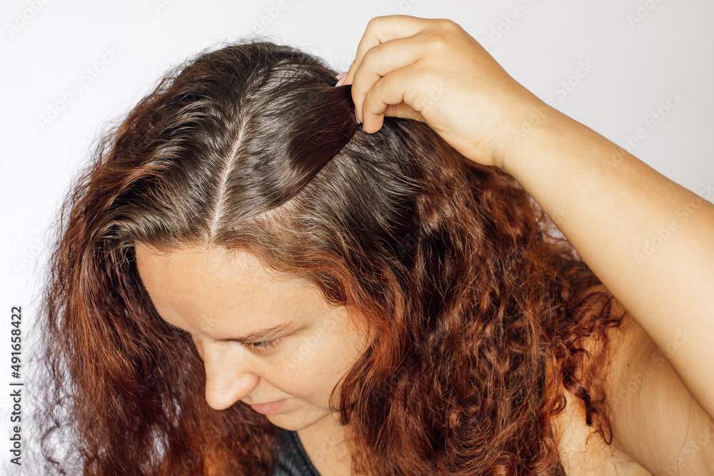 Closeup of woman hand pushing back strand of hair to show graying hair roots on white background. Regrown roots which are in need of recoloring. Anti age care. Copy space. Closeup of woman hand pushing back strand of hair to show graying hair roots on white background. Regrown roots which are in need of recoloring. Anti age care. Copy space.