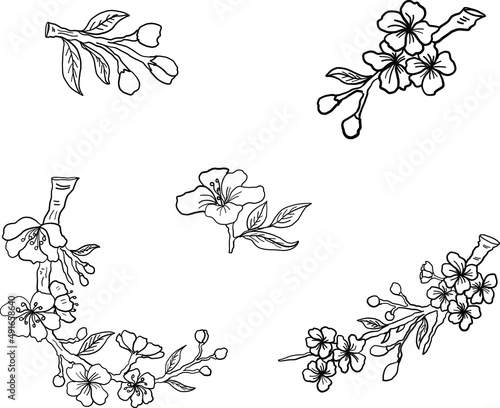 Branch of Cherry blossom on white.Vector illustration Sakura Flower,Nice Peach blossom isolated vector.Japanese floral.Nature background with blossom branch of sakura flower vector.Gold line apricot.