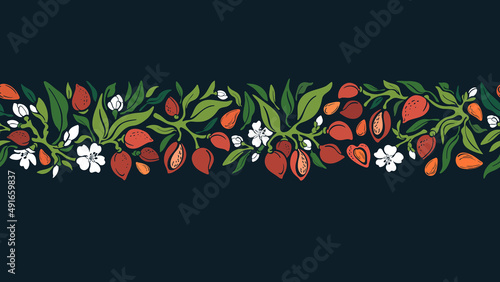 Almond border. Vector seamless band. Floral plant