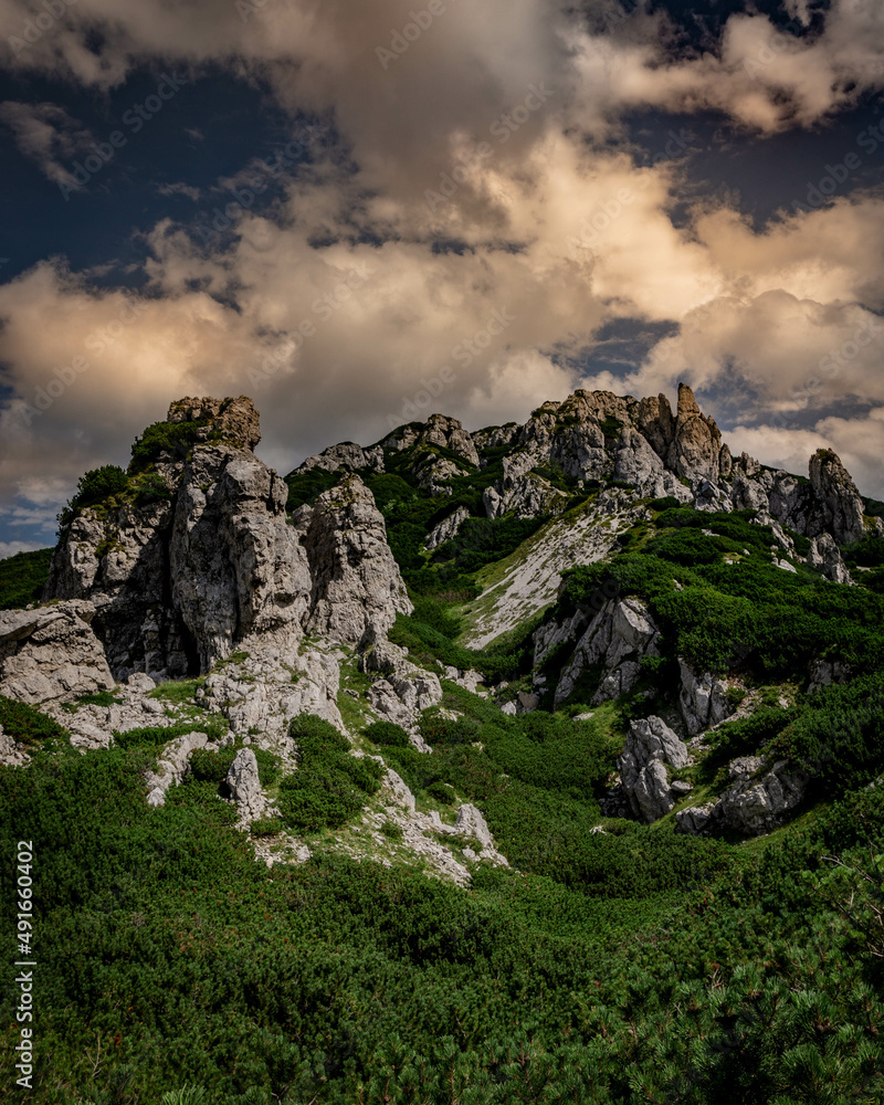 mountain in the Slovakia . Wester Ttras Sivy vrch 