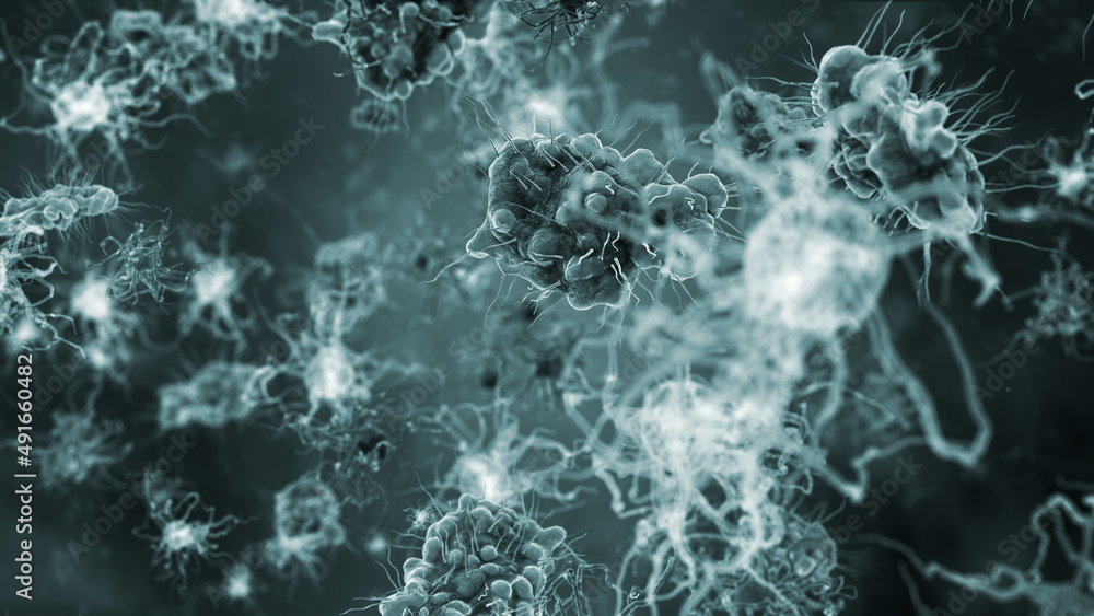 bacteria cells and virus under microscope, concept of microbiology ...