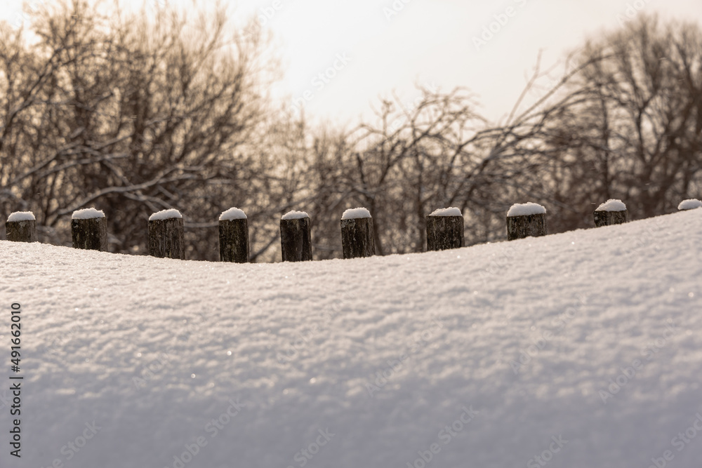 Fence covered with snow and tree branches in the background.