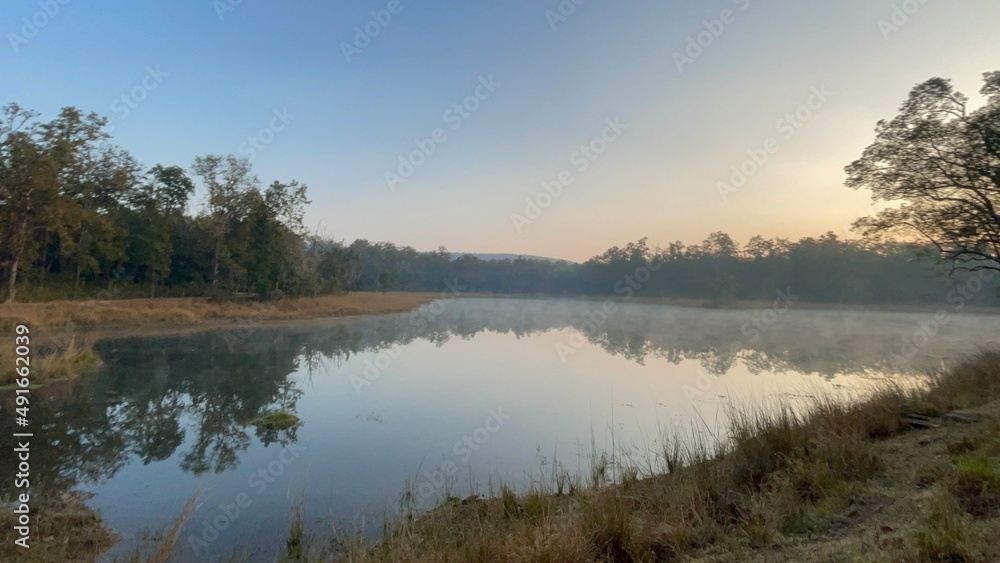 Fototapeta premium Kanha National Park