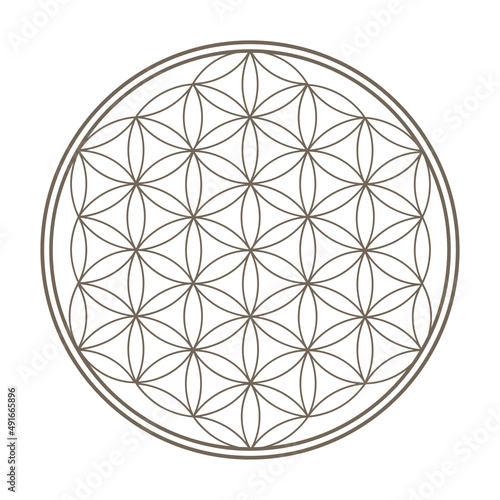 flower of life