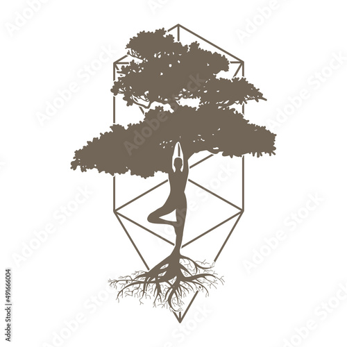 tree of life