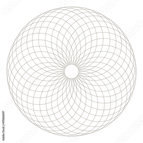torus sacred geometry photo