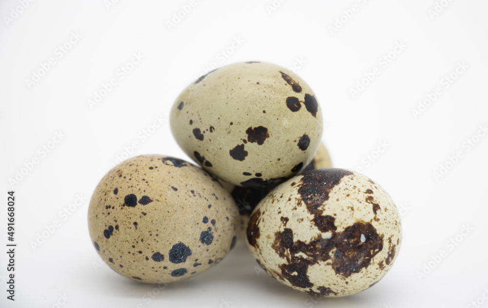 quail eggs close up view on white background, selective focus