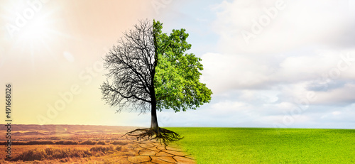 Klimawandel in eine grüne Umwelt