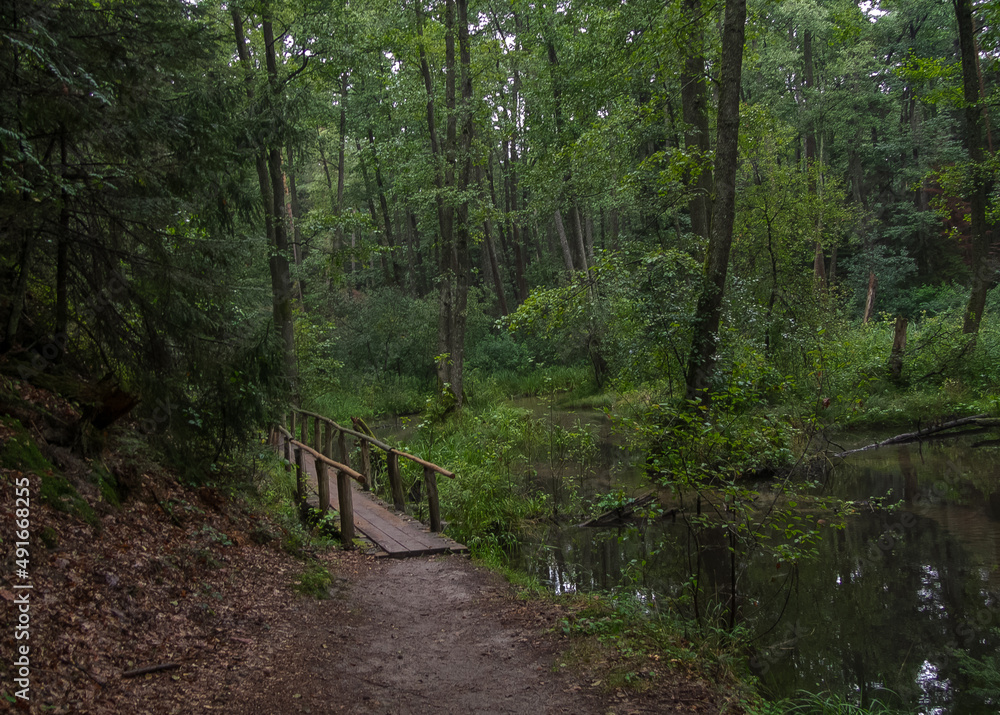 Obraz premium Part of the tourist path in Roztocze.