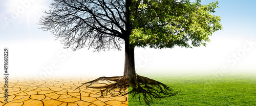 Klimawandel in eine grüne Umwelt