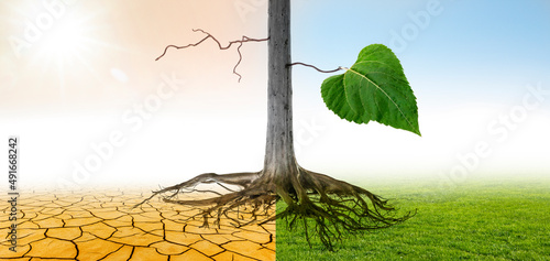 Klimawandel in eine grüne Umwelt