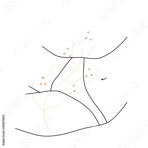 Bikini area, belly, panties, line drawing, vector, twig, twig, sketch.
