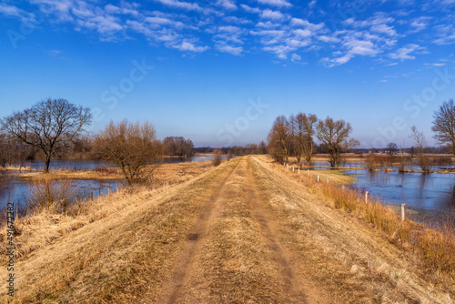 Fototapeta Naklejka Na Ścianę i Meble -  Wiosenne rozlewiska Biebrzy, Podlasie, Polska