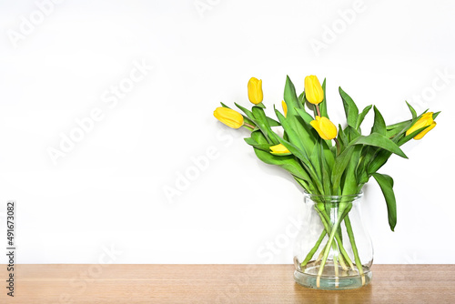 Yelow tulips on white background with copy space. Banner for website.