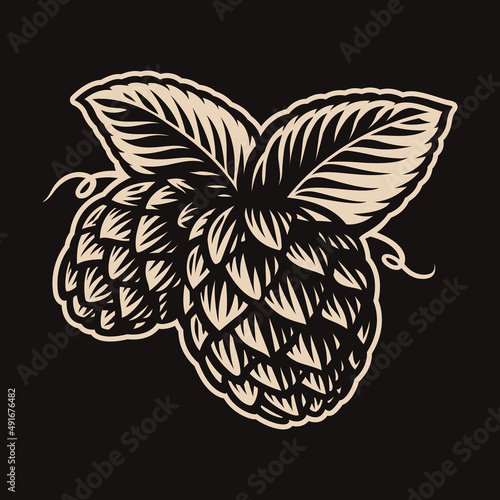 hops crops vector vintage illustration