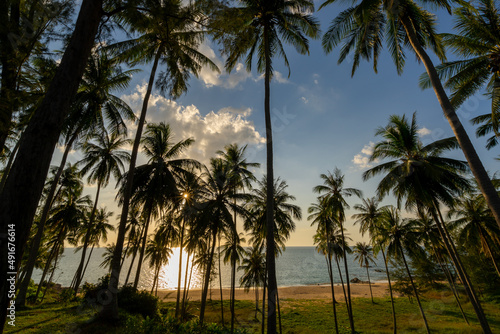 Fototapeta Naklejka Na Ścianę i Meble -  Silhouette coconut palm trees at sunset or sunrise sky over sea Amazing light nature colorful landscape Beautiful light nature sky and clouds
