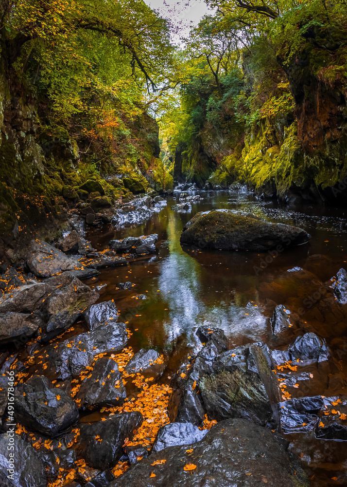 Fairy glen wales Fairy glen wales