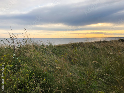 Beautiful summer nature landscape of green field with grass and sea view. High grass landscape nature view. 