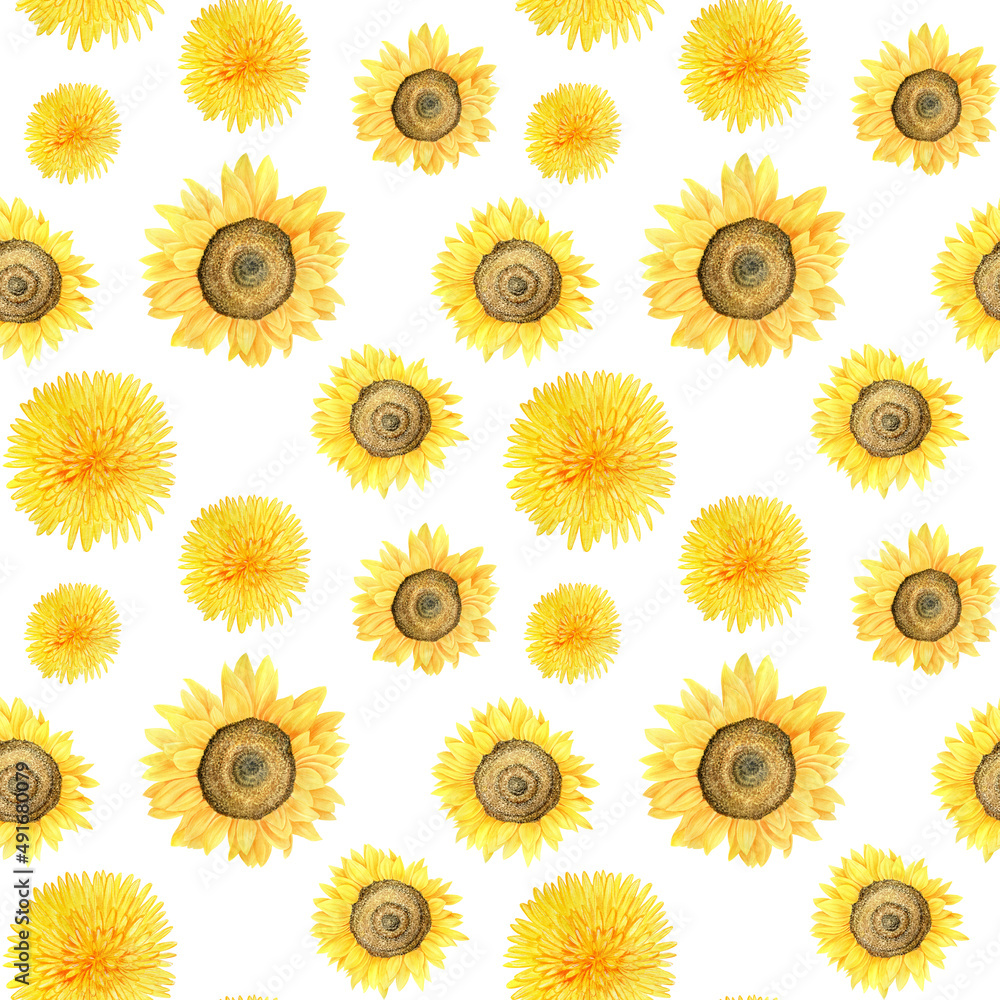 Watercolor seamless pattern with yellow flowers on white background. Sunflowers and dandelion floral ornament. Watercolor seamless pattern with yellow flowers on white background. Sunflowers and dandelion floral ornament.