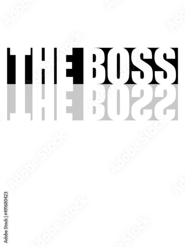 Spiegelung The Boss 