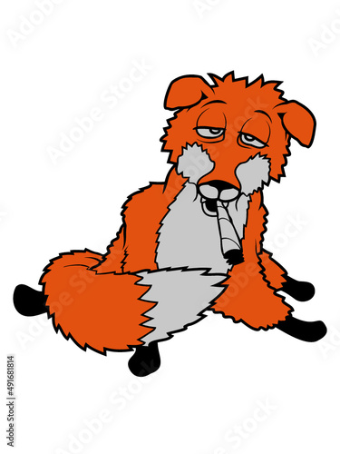 Sitzender bekiffter Fuchs 