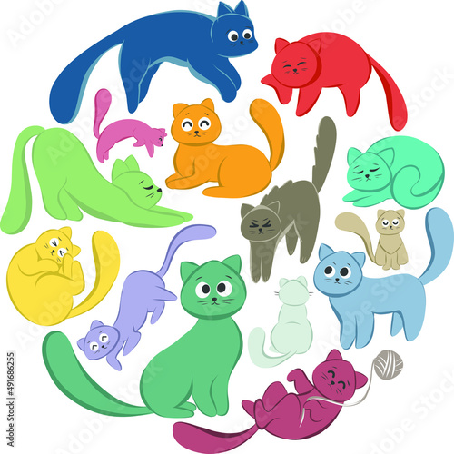 Playful Elegant Cat and kittens in various posture and activities. Active colorful cats.