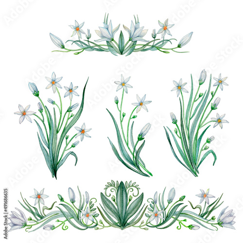 Collection of floral illustrations with bouquets of white flowers, borders, branches and leaves. Set of hand painted watercolor images. Isolated on white background.