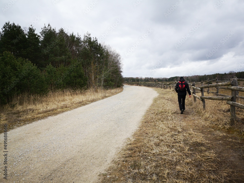 Obraz premium road in the countryside
