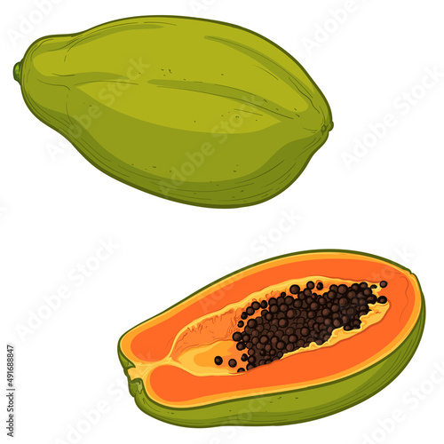 Colorful papaya, whole and half. Vector illustration of fruits isolated on a white background.