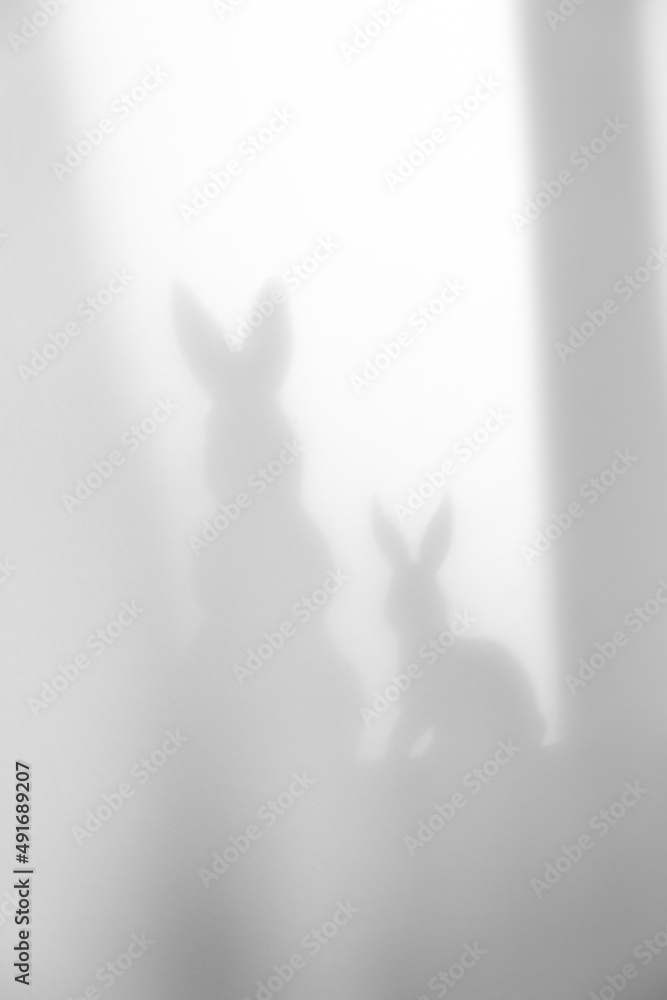 Fototapeta premium silhouette of a rabbits