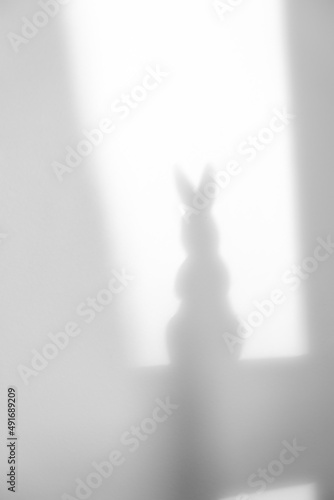 silhouette of a bunny