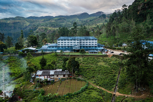 Aerial view of Blue Field tea factory in the mountains surrounded by green fields of tea plants, Ramboda, Sri Lanka.