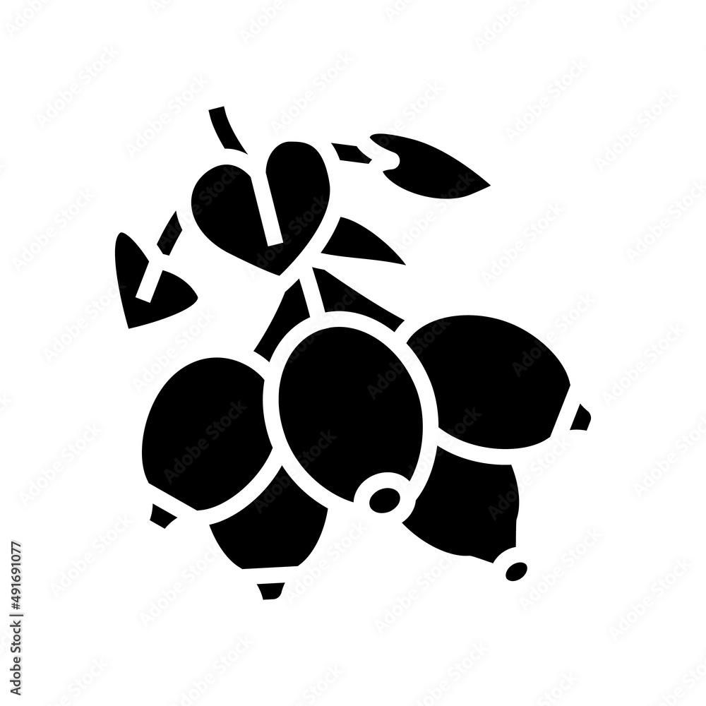 dogrose berry glyph icon vector. dogrose berry sign. isolated contour symbol black illustration dogrose berry glyph icon vector. dogrose berry sign. isolated contour symbol black illustration