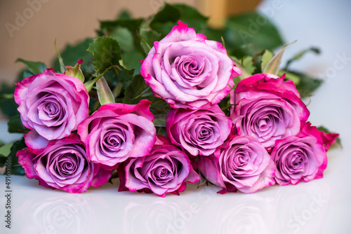 Bouquet of purple roses on white background. Flower background. Mothers Day  Wedding and Birthday concept.