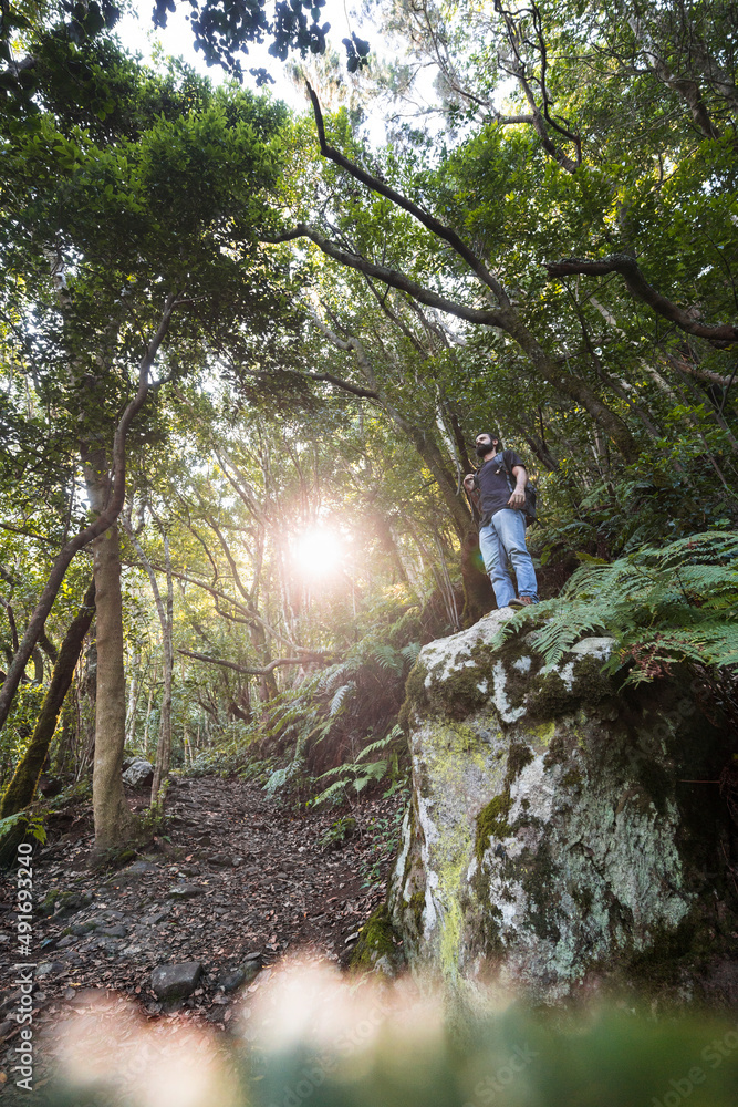 Unrecognizable traveler standing in forest Unrecognizable traveler standing in forest