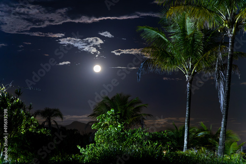 paisagem noturna incluindo a Lua  c  u e algumas arvores em uma linda noite 