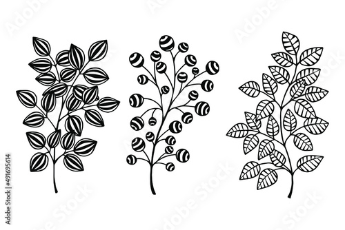 Decorative branches. Vector stock illustration eps10. Isolate on white background  outline  hand drawing.