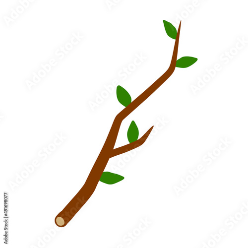 Tree branch with leaf on white background illustration.