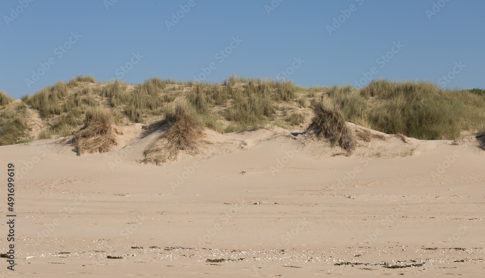 french dunes french dunes