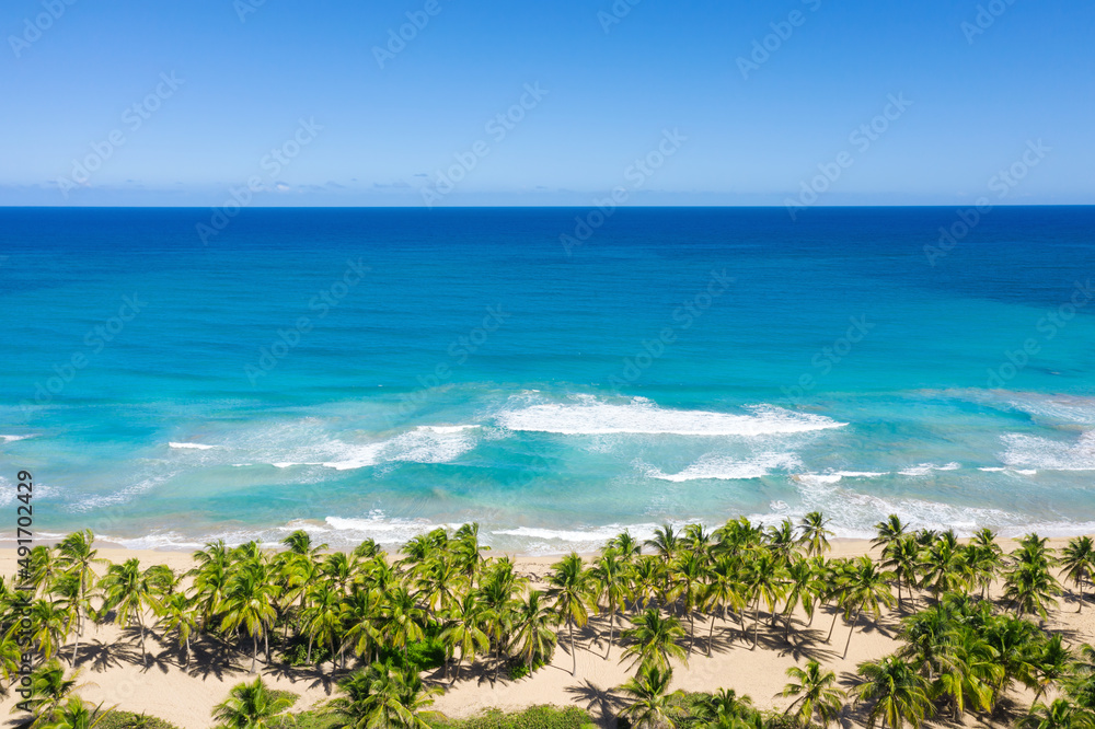 Wild tropical coastline with coconut palm trees and turquoise caribbean sea. Travel destination. Aerial view