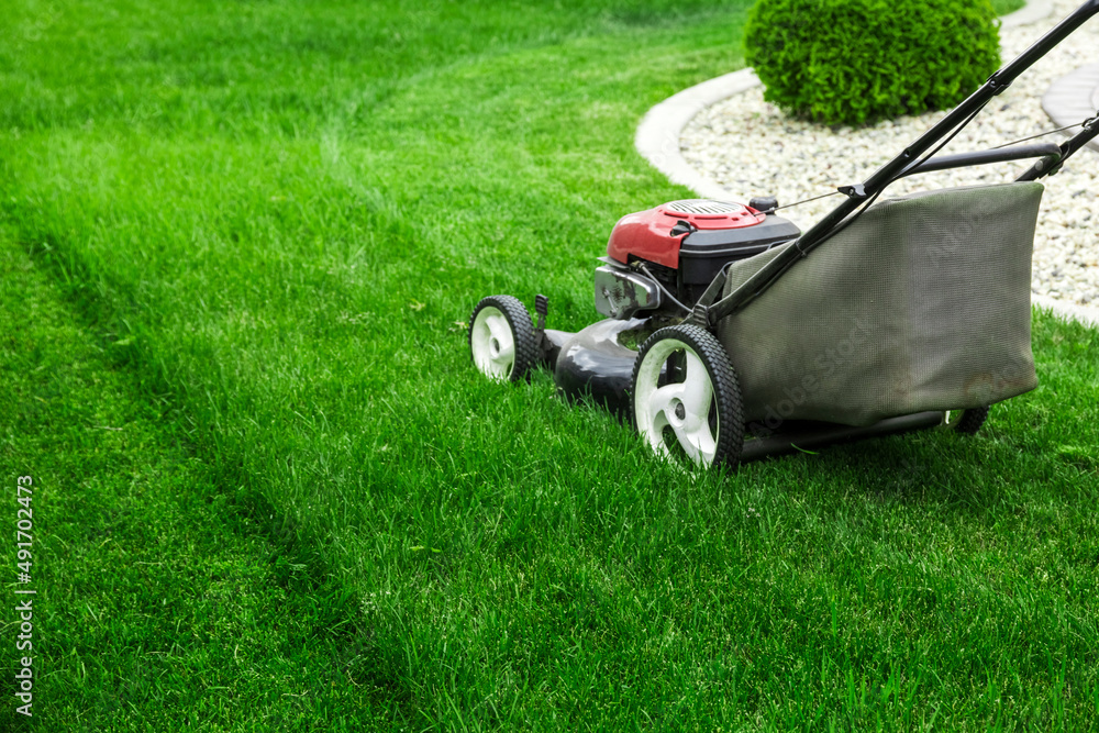 Lawn mower cutting green grass in backyard, mowing lawn - obrazy, fototapety, plakaty 