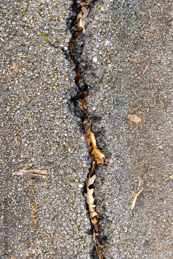 Crack on gray damaged asphalt road close-up. With fallen autumn leaves. Copy space Crack on gray damaged asphalt road close-up. With fallen autumn leaves. Copy space