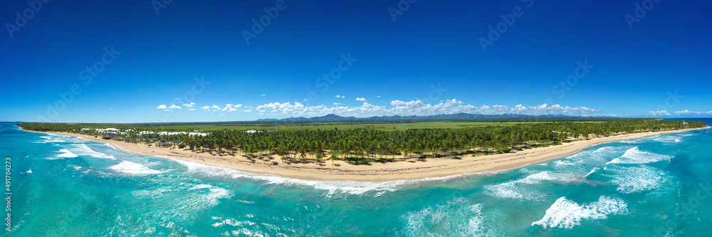 Wild tropical coastline with coconut palm trees and turquoise caribbean sea. Travel destination. Aerial panorama view - obrazy, fototapety, plakaty 