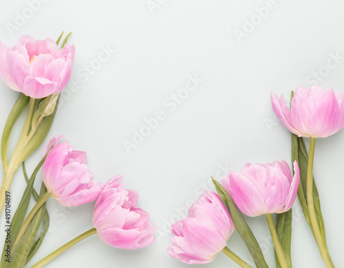 Wallpaper Mural Pink tulip flowers on pastel background. Torontodigital.ca
