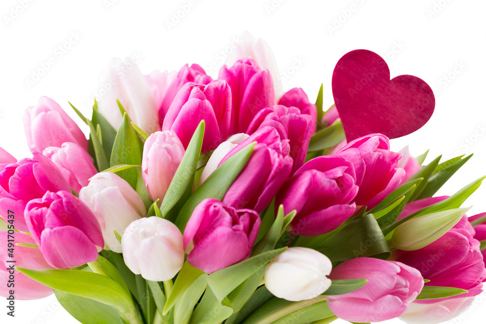 Obraz premium Pink tulip on the white background. Easter background