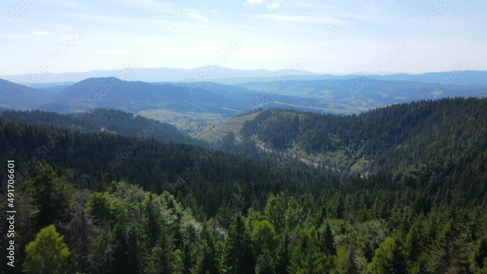 Aerial Drone View Flight over pine tree forest in Mountain Aerial Drone View Flight over pine tree forest in Mountain