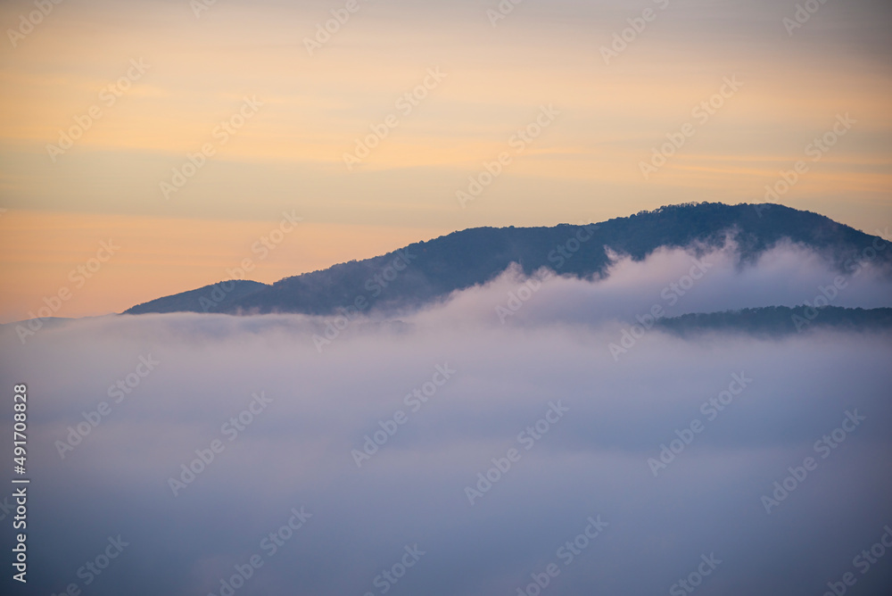 Landscape with morning fog