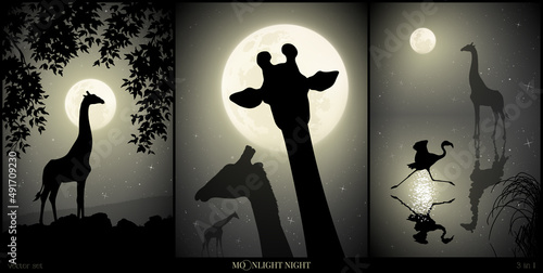 Giraffe outline. Wild animal in savannah. Full moon. Black white set