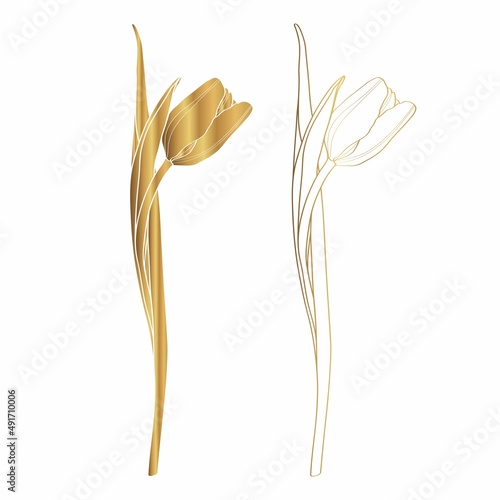 Sketch Floral Botany Collection. Golden tulip spring flower drawings. Luxury line art on white background. 